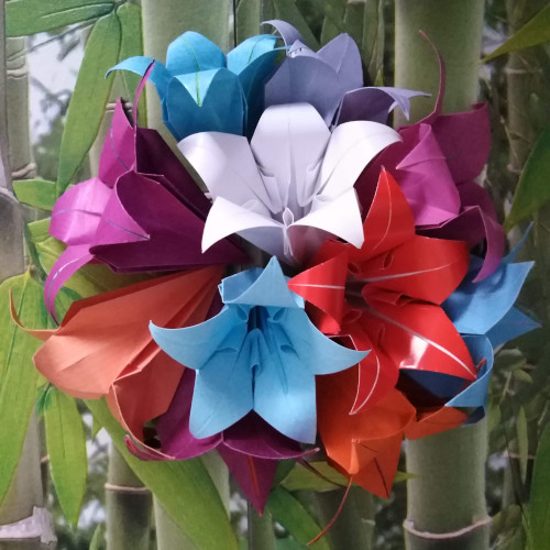 Flor de cinco pétalos