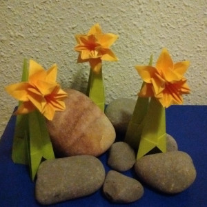 Flor Narciso Amarillo