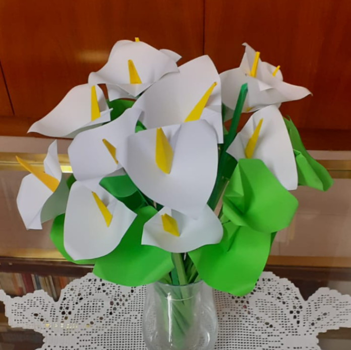 Fantásitas calas blancas