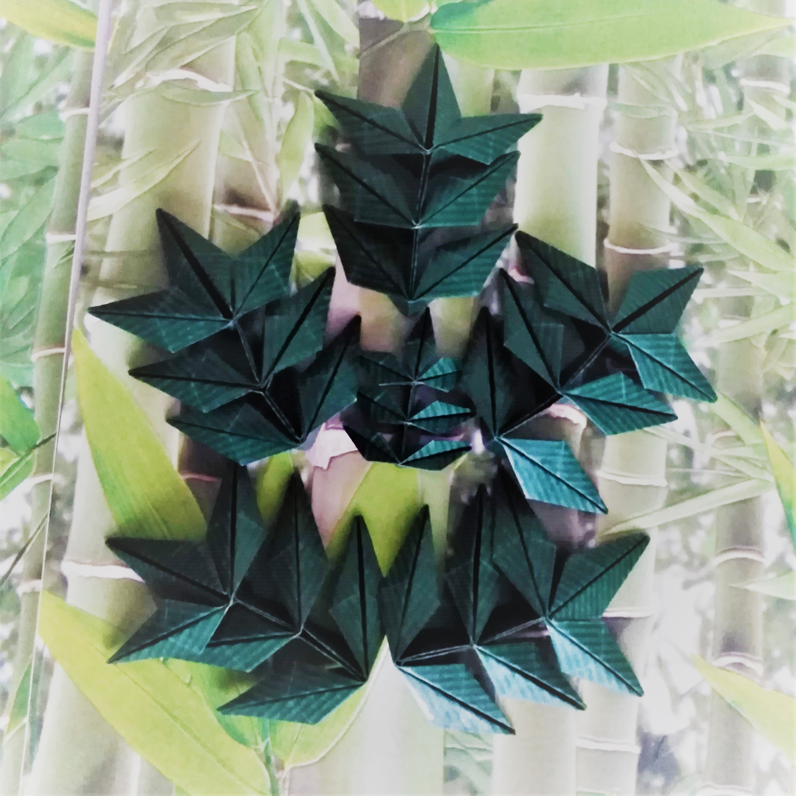 Hojas de origami dobladas con papel rectangular